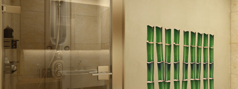 Douchedeuren, comfort verhogende mogelijkheden voor badkamers afbeelding