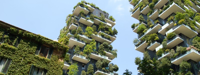 Gluren bij de buren: 10 meest opmerkelijke duurzame huizen ter wereld afbeelding