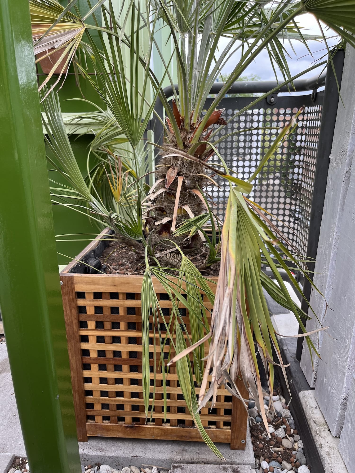 Afgewerkte IKEA HOL tafel als plantenbak met planten erin