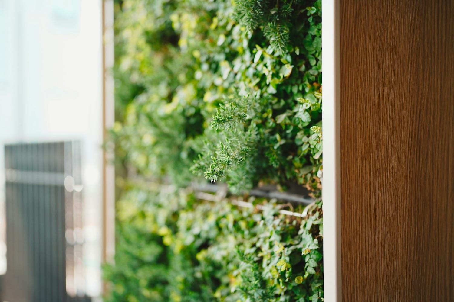 Biophilic interieur met veel planten, natuurlijk licht, houten meubels en groene wanden