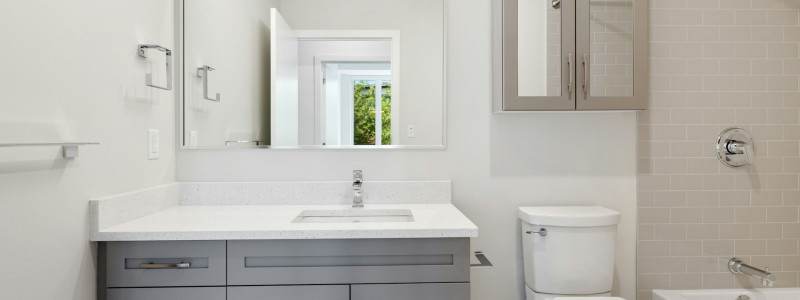 De of het toilet: juiste lidwoord afbeelding