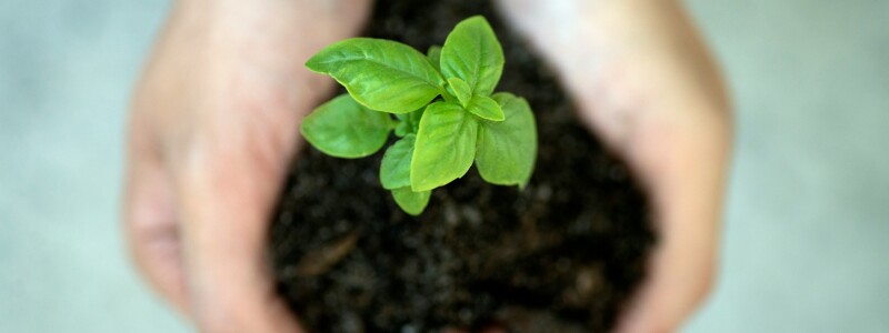 Duurzame vacatures: waar vind je deze? afbeelding