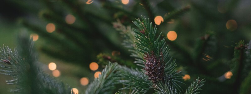 Grappige korte kerstwensen: voorbeelden, quotes & teksten afbeelding