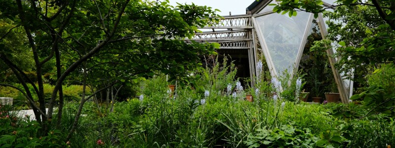 Online tuin ontwerpen: Met deze gratis tools doe je het zelf afbeelding