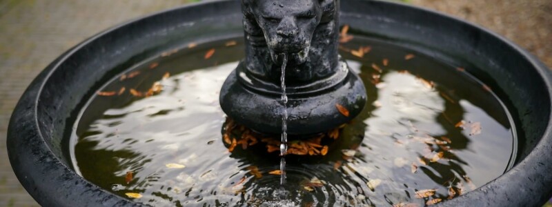 Water in de tuin zonder vijver: 7 creatieve tips afbeelding