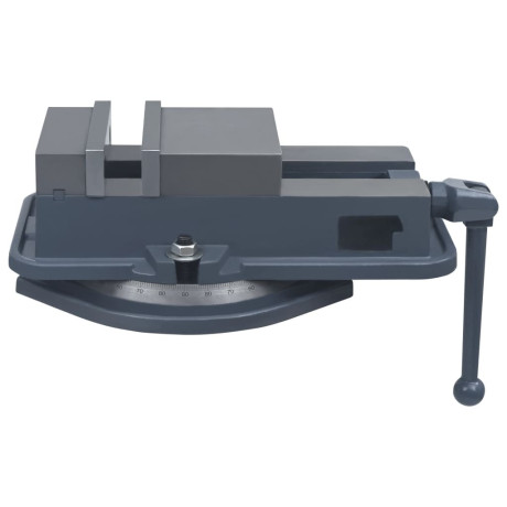vidaXL Bankschroef draaibaar 160 mm gietijzer afbeelding2 - 1