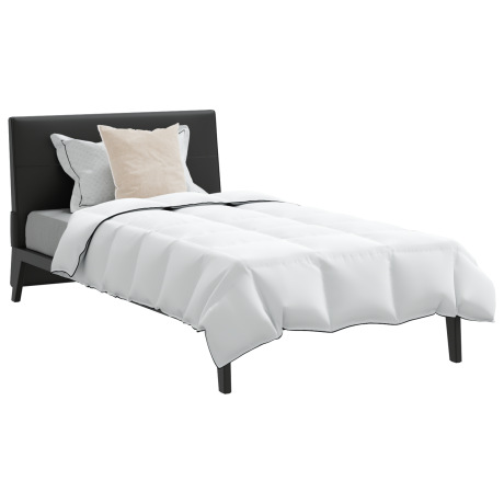 vidaXL Dekbed met kussen 2 pcs Wit 135 x 220 cm Dons afbeelding3 - 1