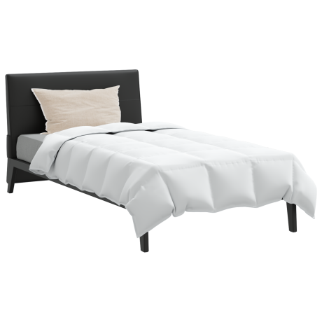 vidaXL Dekbed met kussen 2 pcs Wit 135 x 220 cm Dons afbeelding3 - 1