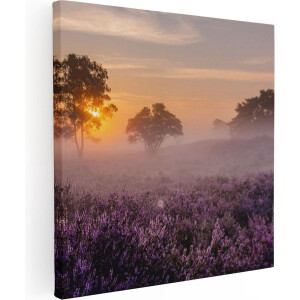 Artaza Canvas Schilderij Weide in de Veluwe bij Zonsondergang - 70x70 - Foto Op Canvas - Canvas Print