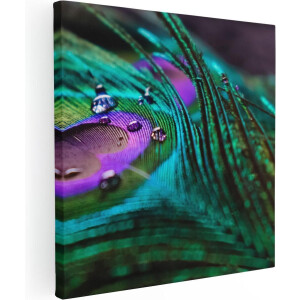 Artaza Canvas Schilderij Kleurrijke Pauw Veer Met Waterdruppels  - 80x80 - Groot - Foto Op Canvas - Canvas Print