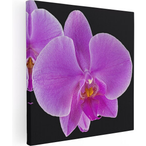 Artaza Canvas Schilderij Licht Paarse Orchidee - Bloem - 90x90 - Groot - Foto Op Canvas - Canvas Print