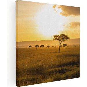 Artaza Canvas Schilderij Zonsondergang In De Savanne - 60x60 - Foto Op Canvas - Canvas Print