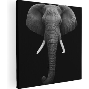 Artaza Canvas Schilderij Olifantenkop - Olifant - Zwart Wit - 60x60 - Foto Op Canvas - Canvas Print