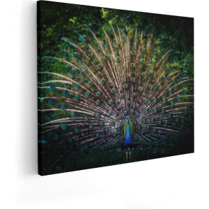 Artaza Canvas Schilderij Pauw Met Kleurrijke Veren - Kleur - 50x40 - Foto Op Canvas - Canvas Print