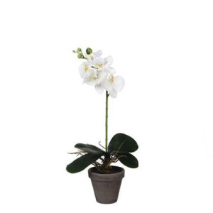 Mica Decorations Phalaenopsis Kunstplant - H48 x Ã13 cm - Wit