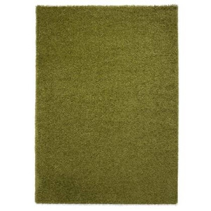 Tapeso Hoogpolig vloerkleed shaggy Trend effen - groen - 120x170 cm