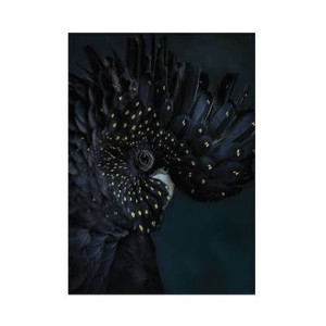 Art for the Home | Exotic Bird - Fotobehang - 280x200 cm