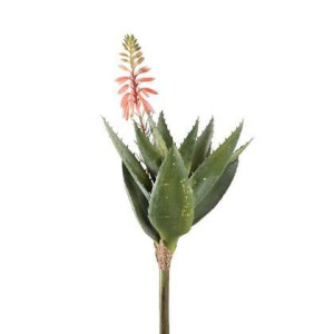 PTMD Kunstplant Succulent - 32x21x46 cm - Kunststof - Goud