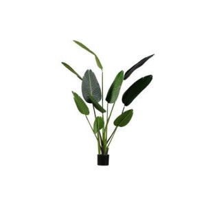 Woood Strelitzia Kunstplant Groen 164 cm