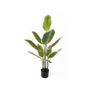 Present Time - Kunstplant Calathea Large - Groen