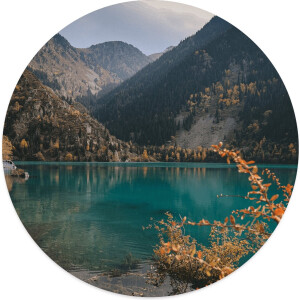 Label2X - Muurcirkel zen - Ø 60 cm - Forex - Multicolor - Wandcirkel - Rond Schilderij - Muurdecoratie Cirkel - Wandecoratie rond - Decoratie voor woonkamer of slaapkamer