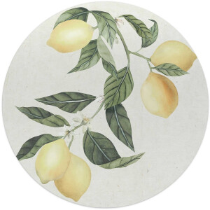 Glasschilderij Citroentak - Ø 50cm - Glas - REINDERS
