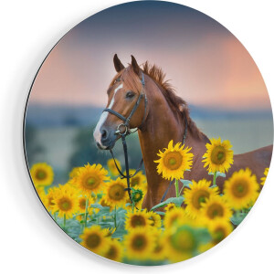 Artaza Dibond Muurcirkel Bruin Paard Tussen De Zonnebloemen - Ø 60 cm - Wandcirkel - Rond Schilderij - Voor Binnen en Buiten