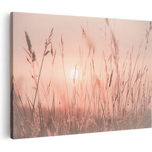 Artaza Canvas Schilderij De Zon gaat onder boven een Grasveld - 60x40 - Wanddecoratie - Foto Op Canvas - Canvas Print
