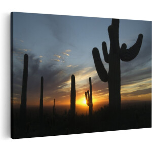 Artaza Canvas Schilderij Cactussen bij Zonsondergang in de Woestijn - 30x20 - Klein - Foto Op Canvas - Canvas Print
