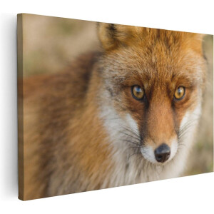 Artaza Canvas Schilderij Vossenkop met Bruine Ogen - Vos - 30x20 - Klein - Foto Op Canvas - Canvas Print