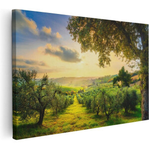 Artaza Canvas Schilderij Olijvenbomen - Olijvengaard - 120x80 - Groot - Foto Op Canvas - Wanddecoratie Woonkamer