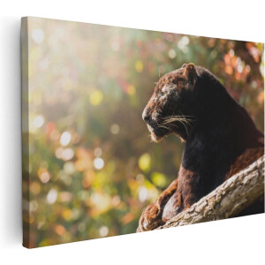Artaza Canvas Schilderij Zwarte Panter Vanaf De Zijkant - 60x40 - Foto Op Canvas - Canvas Print