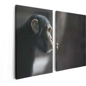 Artaza Canvas Schilderij Tweeluik Verbaasde Aap Vanaf De Zijkant - 80x60 - Foto Op Canvas - Canvas Print