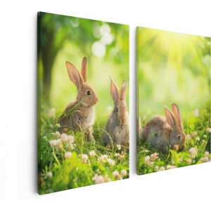 Artaza Canvas Schilderij Tweeluik Drie Konijnen Op Het Gras Bij Zonneschijn - 80x60 - Foto Op Canvas - Canvas Print