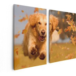 Artaza Canvas Schilderij Tweeluik Golden Retriever Hond In De Herfst Bladeren - 80x60 - Foto Op Canvas - Canvas Print