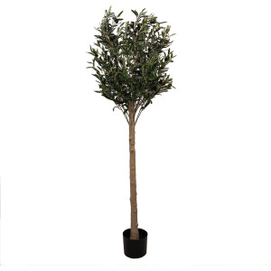 Clayre & Eef Kunst Olijfboom 165 cm Groen Kunststof
