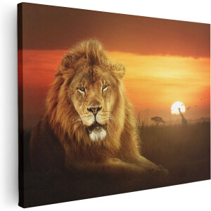 Artaza Canvas Schilderij Leeuw In De Savanne - Zonsondergang - 40x30 - Klein - Foto Op Canvas - Canvas Print