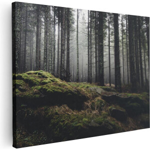 Artaza Canvas Schilderij Bos Met Mos Op Rotsen - 40x30 - Klein - Foto Op Canvas - Canvas Print