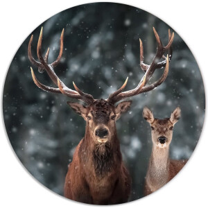 Label2X - Muurcirkel deer couple - Ø 100 cm - Forex - Multicolor - Wandcirkel - Rond Schilderij - Muurdecoratie Cirkel - Wandecoratie rond - Decoratie voor woonkamer of slaapkamer
