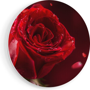 Artaza Forex Muurcirkel Romantische Rode Roos - 80x80 cm - Groot - Wandcirkel - Rond Schilderij - Wanddecoratie Cirkel