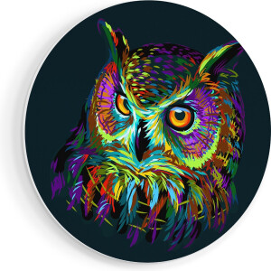 Artaza Forex Muurcirkel Kleurrijke Uil - Abstract - 90x90 cm - Groot - Wandcirkel - Rond Schilderij - Muurdecoratie Cirkel