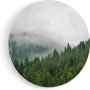 Artaza Forex Muurcirkel Groen Bos Met Bomen Tijdens De Mist - 40x40 cm - Klein - Wandcirkel - Rond Schilderij - Wanddecoratie Cirkel