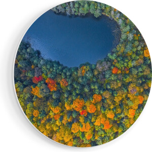 Artaza Forex Muurcirkel Kleurrijke Bos Met Bomen Naast Een Meer - 80x80 cm - Groot - Wandcirkel - Rond Schilderij - Wanddecoratie Cirkel
