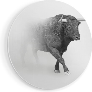 Artaza Forex Muurcirkel Stier Op Een Grijze Achtergrond - Zwart Wit - 50x50 cm - Klein - Wandcirkel - Rond Schilderij - Muurdecoratie Cirkel