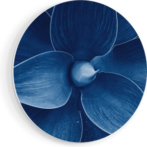 Artaza Forex Muurcirkel Blauwe Agave Plant - Bloem - 50x50 cm - Klein - Wandcirkel - Rond Schilderij - Muurdecoratie Cirkel