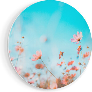 Artaza Forex Muurcirkel Paarse Kosmos Bloemen - 40x40 cm - Klein - Wandcirkel - Rond Schilderij - Wanddecoratie Cirkel