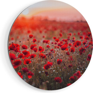 Artaza Dibond Muurcirkel Rode Klaprozen Bloemenveld Zonsondergang - Ø 80 cm - Groot - Wandcirkel - Rond Schilderij - Voor Binnen en Buiten