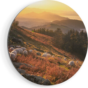 Artaza Dibond Muurcirkel Schapen in de Bergen  - Ø 60 cm - Wandcirkel - Rond Schilderij - Voor Binnen en Buiten