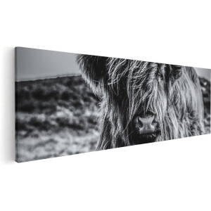 Artaza Canvas Schilderij Schotse Hooglander Koe - Zwart Wit - 60x20 - Foto Op Canvas - Canvas Print