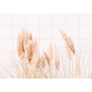 IXXI Pampas Grass, Ingrid Beddoes - 140 x 100 cm - Gratis ophangtool - Grote wanddecoratie en posters - Minimalistisch, Fotografie, Woonkamer